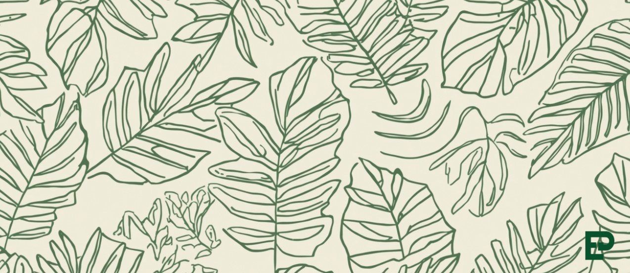 Leaf Sketch