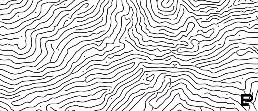 Topo Lines
