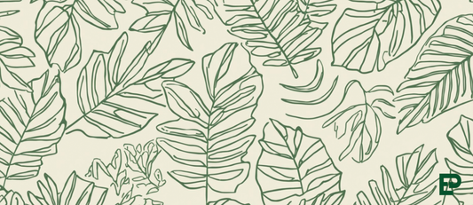 Leaf Sketch