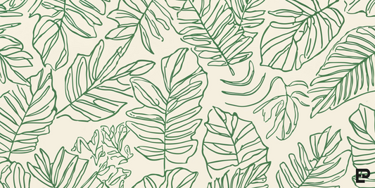 Leaf Sketch